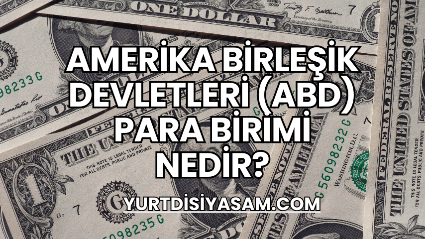 Amerika Birleşik Devletleri (ABD) Para Birimi Nedir?