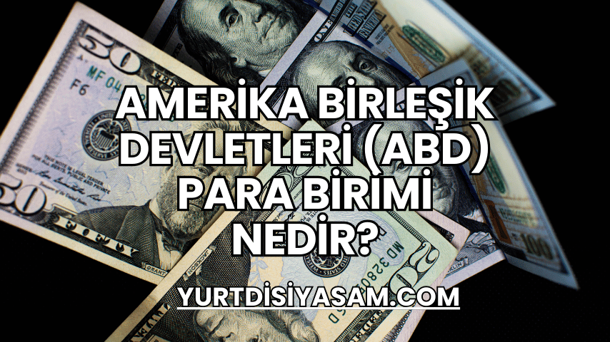 Amerika Birleşik Devletleri (ABD) Para Birimi Nedir?