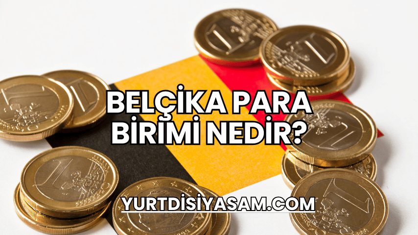 Belçika Para Birimi Nedir?