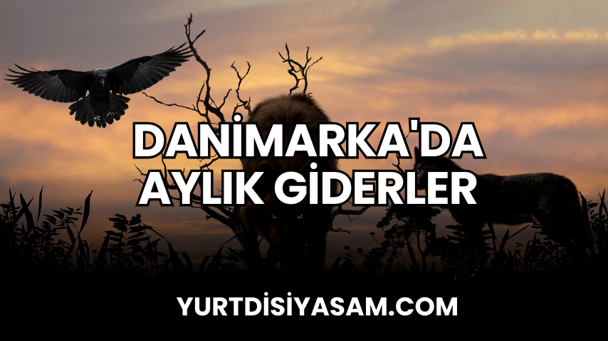 Danimarka'da Aylık Giderler