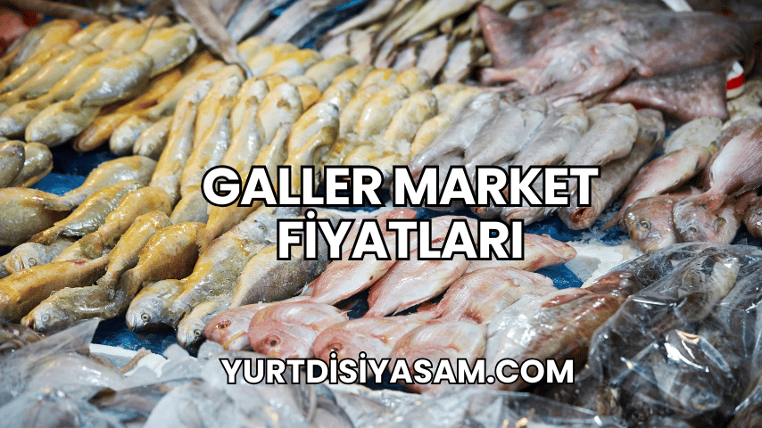 Galler Market Fiyatları