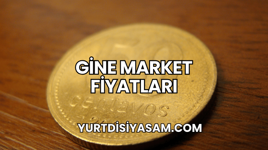 Gine Market Fiyatları