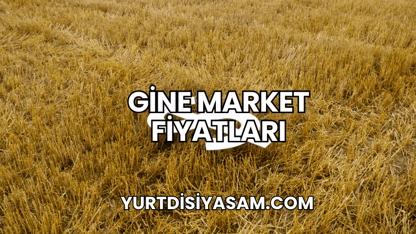 Gine Market Fiyatları