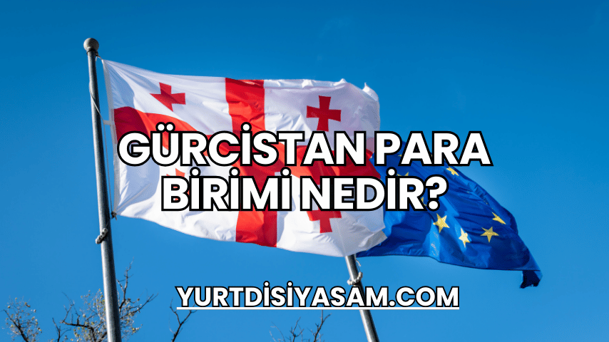 Gürcistan Para Birimi Nedir?