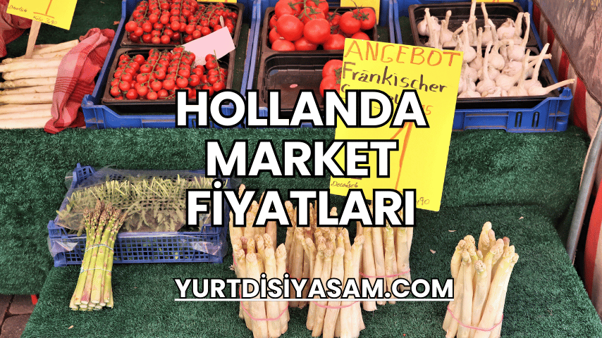 Hollanda Market Fiyatları