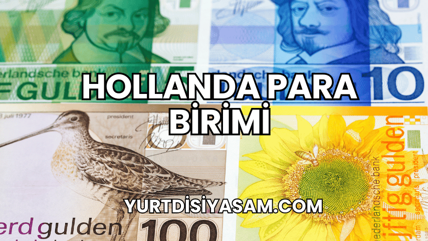 Hollanda Para Birimi