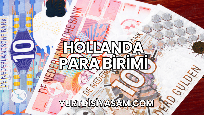 Hollanda Para Birimi