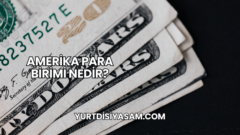 Amerika Para Birimi Nedir?