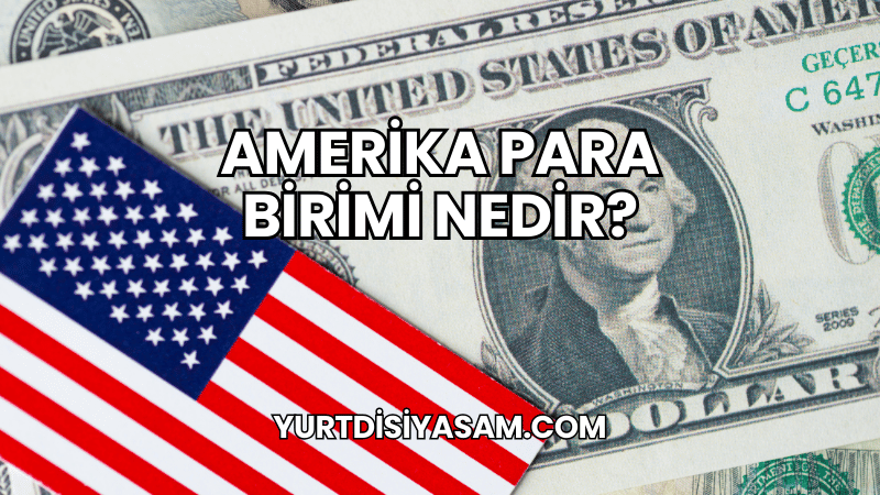 Amerika Para Birimi Nedir?