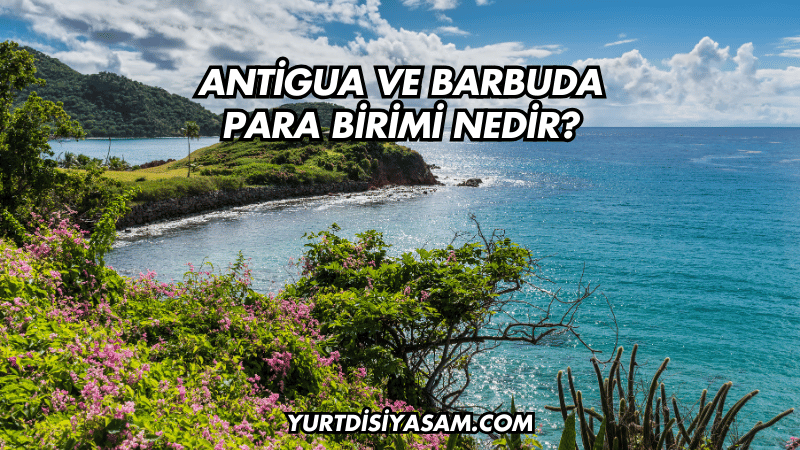 Antigua ve Barbuda Para Birimi Nedir?